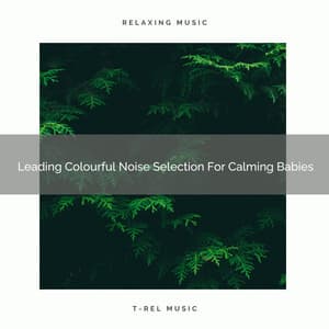 Leading Colourful Noise Selection For Calming Babies - Sleep Noise / Sleepy Noise