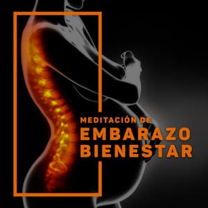 Meditación de Embarazo y Bienestar: Ambiente Relajante para Hipnosis, Ejercicios de Respiración, Calmar el Dolor - Hypnobirthing Oasis