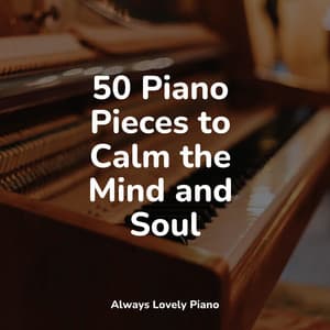 Asian Wind Mix | Calm Chillout Melodies - Anti Stress