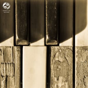 Piano Keys In The Silence - Mystic Haven