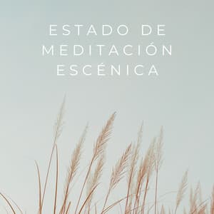 Estado De Meditación Escénica - Flor de Loto