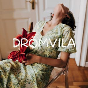 Drömvila: Genom skymningens ljus - Helande Instrumentalmusik Akademi