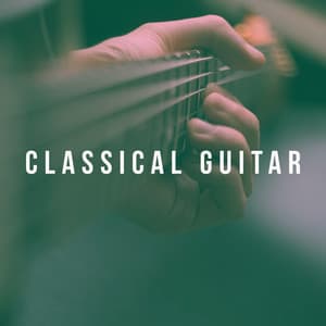 Classical Guitar - Afternoon Acoustic