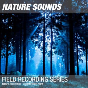 Nature Recordings - Dreamy forest night - Nature Sounds