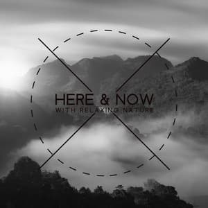 Here & Now with Relaxing Nature - Sweet Music Relaxation