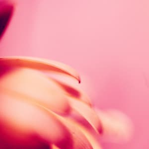 Relaxing Music for Meditation, Spa, Massage, Yoga, Sleep, Calm - Yoga Nidra