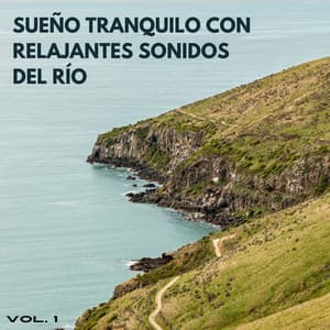 Sueño Tranquilo Con Relajantes Sonidos Del Río Vol. 1 - Sonidos de agua para dormir