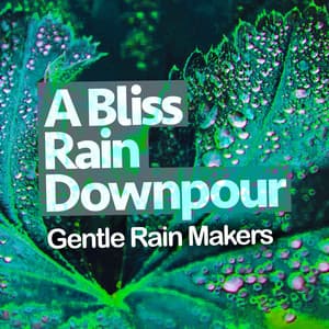 A Bliss Rain Downpour - Gentle Rain Makers