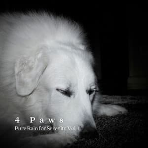 4 Paws: Pure Rain for Serenity Vol. 1 - Sounds Dogs Love