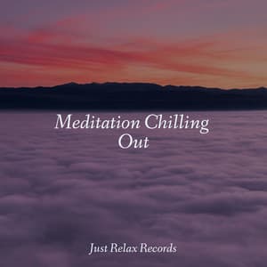 Meditation Chilling Out - Dog Music