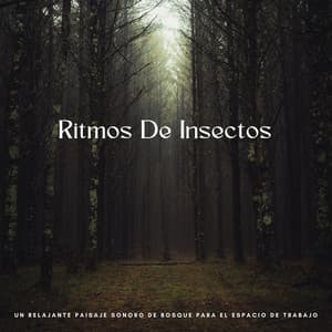 Ritmos De Insectos: Un Relajante Paisaje Sonoro De Bosque Para El Espacio De Trabajo - Radio Naturaleza 1