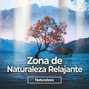 Zona de Naturaleza Relajante - Naturaleza