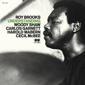 Understanding - Roy Brooks