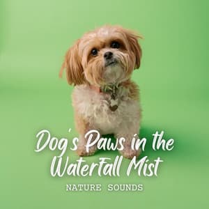 Nature Sounds: Dog's Paws in the Waterfall Mist - Soothing Waterfalls