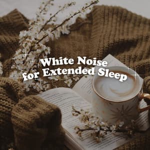 White Noise for Extended Sleep - White Noise for Sleeping