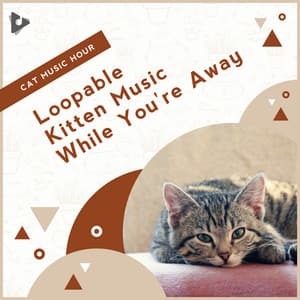 Loopable Kitten Music While You're Away - Cat Music Hour