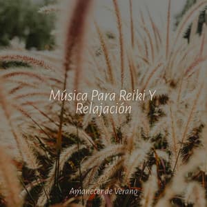 Música Para Reiki Y Relajación - Música ambiental relajante