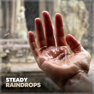 Steady Raindrops - Day & Night Rain