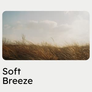 Soft Breeze - Help Your Baby Sleep Through The Night