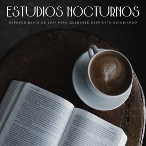 Estudios Nocturnos: Serenos Beats De Lofi Para Quedarse Despierto Estudiando - Musica Para Estudiar Academy