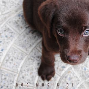 Puppy Songs - Dog Music DJ