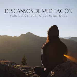 Descansos De Meditación: Revitalizando La Mente Para Un Trabajo Óptimo - Música de Meditación
