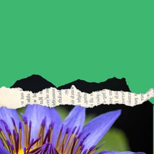 Background Music for Slow Weekends - Cafeteria Musica de lujo