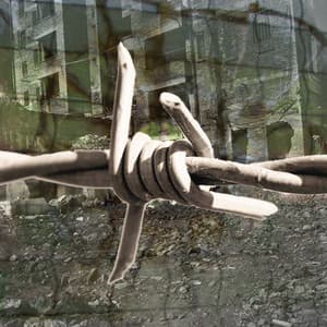 Docutrax, Vol. 5: Aftermath of War - Gregor F. Narholz