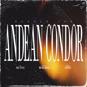Behold The Andean Condor - Bub Styles