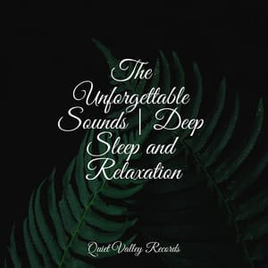 The Unforgettable Sounds | Deep Sleep and Relaxation - Reiki Music