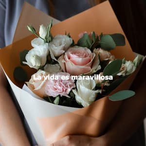 La vida es maravillosa - Jazz for Working Playlist