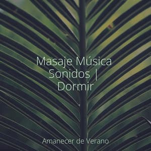 Masaje Música Sonidos | Dormir - Musica de Piano Escuela