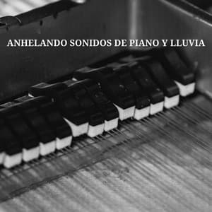 Anhelando Sonidos De Piano Y Lluvia - Sonidos De La Selva