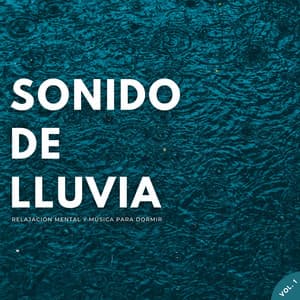 Sonido De Lluvia: Relajación Mental Y Música Para Dormir Vol. 1 - Lluvia Ruido Dormir