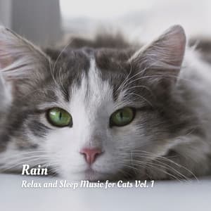 Rain: Relax and Sleep Music for Cats Vol. 1 - Calming Music For Pets