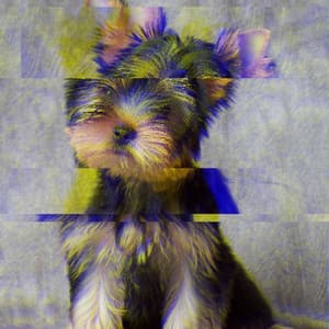 Charming Ambiance for Puppy Play Hour - Relaxing Music for Dogs