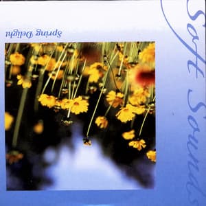 Spring Delight - Soft Sounds