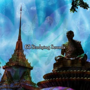 65 Studying Sounds - Meditation Group
