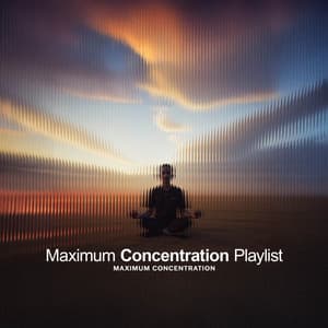Maximum Concentration Playlist - Maximum Concentration