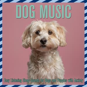 Dog Music: Easy Listening Sleep Sounds for Dogs and Puppies with Anxiety - Relaxmydog