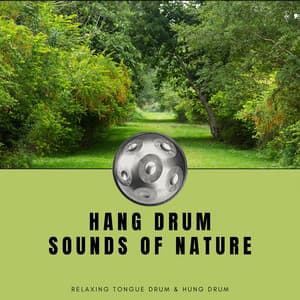 Hang Drum Sounds of Nature - Hang Drum Music