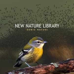 New Nature Library - Sonic Nature