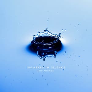 Splashes In Silence - Big Sounds