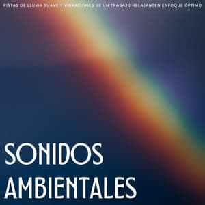 Sonidos Ambientales: Pistas De Lluvia Suave Y Vibraciones De Un Trabajo Relajante - Música de Trabajo Clasico