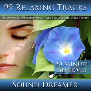 99 Relaxing Tracks  For Relaxation, Meditation, Reiki, Yoga, Spa, Massage and Sleep Therapy - Sound Dreamer