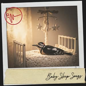 Baby Sleep Songs: Serene Sounds - Música Relajante Para Leer