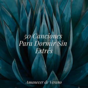 50 Canciones Para Dormir Sin Estrés - Guided Meditation