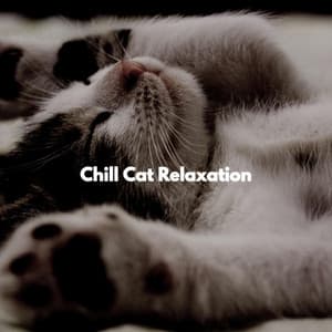 Chill Cat Relaxation - Música Animada para Cafeterías