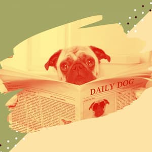 Music for Doggy Wellness - Bossa Nova Vibraphone - Relaxing Dog Music