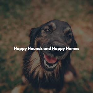 Happy Hounds and Happy Homes - Lunch Time Jazz Playlist